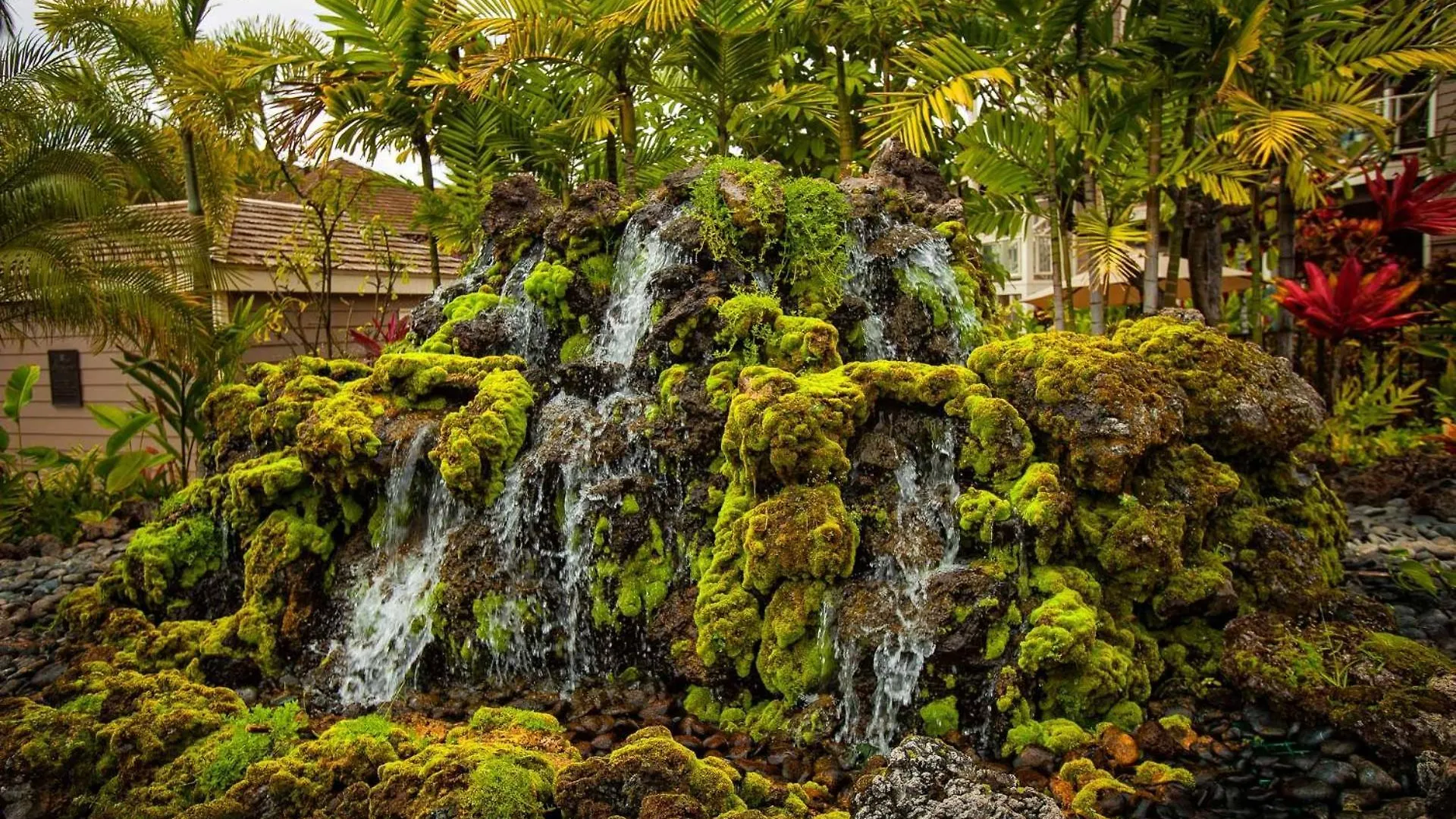 Grand Champions Two Bedrooms - Garden View By Coldwell Banker Island Vacations Wailea  Lägenhet